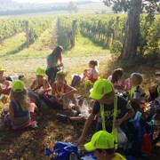 Športni dan 1.triada, sep. 2016