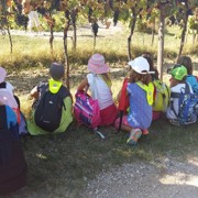 Športni dan 1.triada, sep. 2016