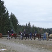 Kozjak