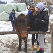 Kozjak