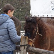 Kozjak