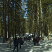 planica 2018