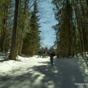 planica 2018