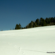 planica 2018