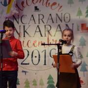 NOVOLETNA PRIREDITEV 2019