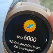 Športni dan 11.1.2021