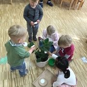 MONTESSORI METODE PRI MORSKIH ZVEZDICAH