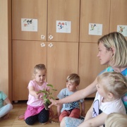 VRTIČKANJE PO Montessori METODI PRI MORSKIH JEŽKIH