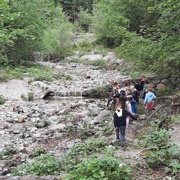 Potovanje v Logarsko dolino