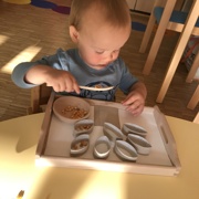 VKLJUČEVANJE MONTESSORI METOD PRI MORSKIH ZVEZDICAH