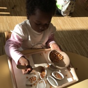 VKLJUČEVANJE MONTESSORI METOD PRI MORSKIH ZVEZDICAH