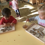 VKLJUČEVANJE MONTESSORI METOD PRI MORSKIH ZVEZDICAH