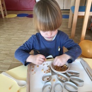 VKLJUČEVANJE MONTESSORI METOD PRI MORSKIH ZVEZDICAH
