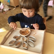 VKLJUČEVANJE MONTESSORI METOD PRI MORSKIH ZVEZDICAH