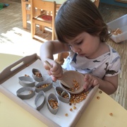 VKLJUČEVANJE MONTESSORI METOD PRI MORSKIH ZVEZDICAH