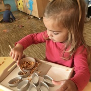 VKLJUČEVANJE MONTESSORI METOD PRI MORSKIH ZVEZDICAH