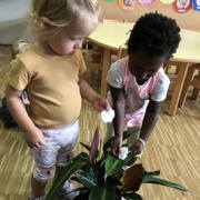 VKLJUČEVANJE MONTESSORI METOD PRI MORSKIH ZVEZDICAH