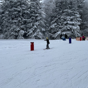 Šola v naravi - Pohorje