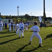 veter v laseh