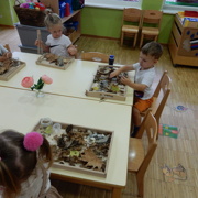 MONTESSORI UTRINKI PRI MORSKIH JEŽKIH