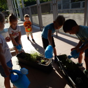 MONTESSORI UTRINKI PRI MORSKIH JEŽKIH