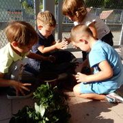 MONTESSORI UTRINKI PRI MORSKIH JEŽKIH