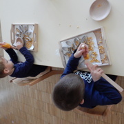 MONTESSORI UTRINKI PRI MORSKIH JEŽKIH