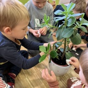 MONTESSORI UTRINKI PRI MORSKIH JEŽKIH