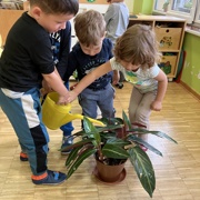 MONTESSORI UTRINKI PRI MORSKIH JEŽKIH