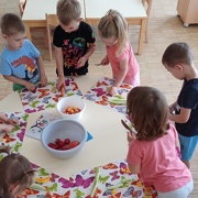VRTIČKANJE PO Montessori METODI PRI MORSKIH JEŽKIH