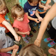 VRTIČKANJE PO Montessori METODI PRI MORSKIH JEŽKIH