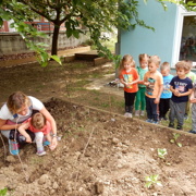 VRTIČKANJE PO Montessori METODI PRI MORSKIH JEŽKIH