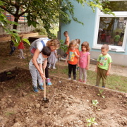 VRTIČKANJE PO Montessori METODI PRI MORSKIH JEŽKIH