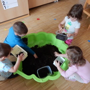 VRTIČKANJE PO Montessori METODI PRI MORSKIH JEŽKIH