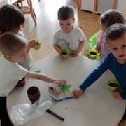 VRTIČKANJE PO Montessori METODI PRI MORSKIH JEŽKIH