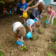 VRTIČKANJE PO Montessori METODI PRI MORSKIH JEŽKIH