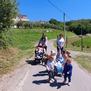 veseli maj