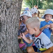 Glasbeno in pravljično popotovanje z Niko Solce