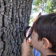Glasbeno in pravljično popotovanje z Niko Solce