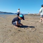 Glasbeno in pravljično popotovanje z Niko Solce