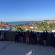 Pohod za mali sonček in obisk gozda