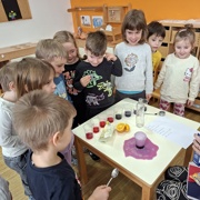 RIBE IN EKSPERIMENTI