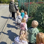 Rakovice na sprehodu