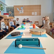 Mali instrumenti pri želvicah