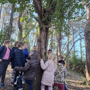 Vztrajni bršljan v našem gozdu