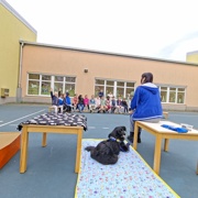 S kužkom Diom do novih znanj