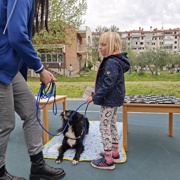 S kužkom Diom do novih znanj