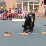 S kužkom Diom do novih znanj