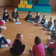 Mali instrumenti pri želvicah