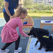 Delfini smo se učili in zabavali z Diom